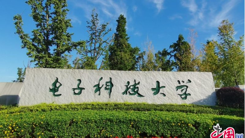 层多层板PCB打样：揭秘其工艺与选型要点
